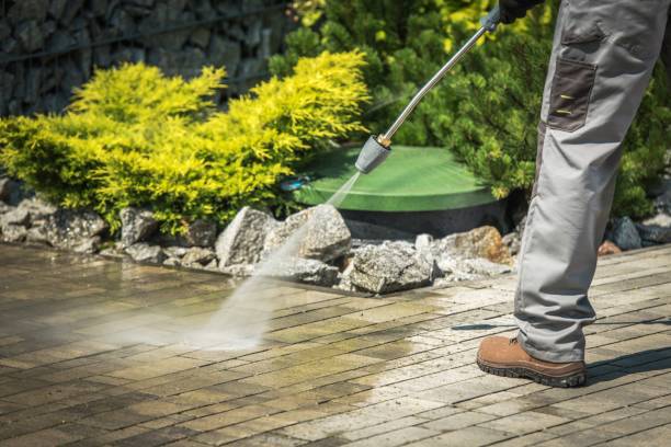 Best Animal Enclosure Cleaning  in Bridgeville, DE
