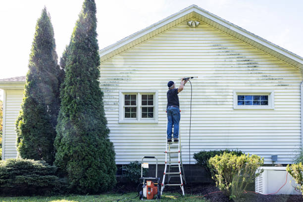 Best Driveway Pressure Washing  in Bridgeville, DE